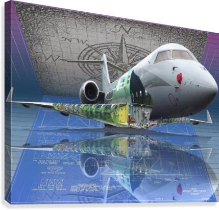 PLANE Canvas Print