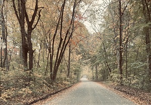 Fall