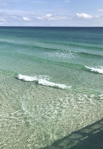 Ocean Views Print