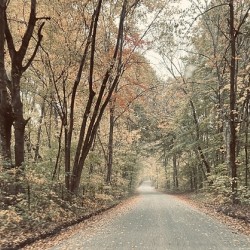 Fall