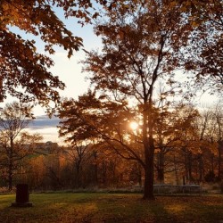Fall 2.0
