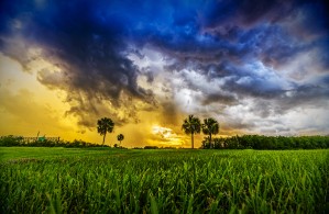 Florida Sunset