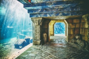 Atlantis Aquarium 