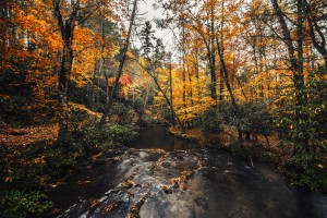 Smokey Mountain River
