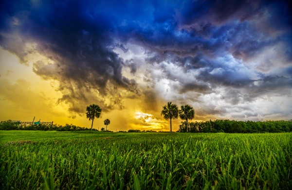 Florida Sunset by Luis Bonetti