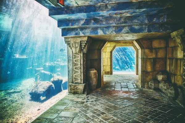 Atlantis Aquarium  by Luis Bonetti