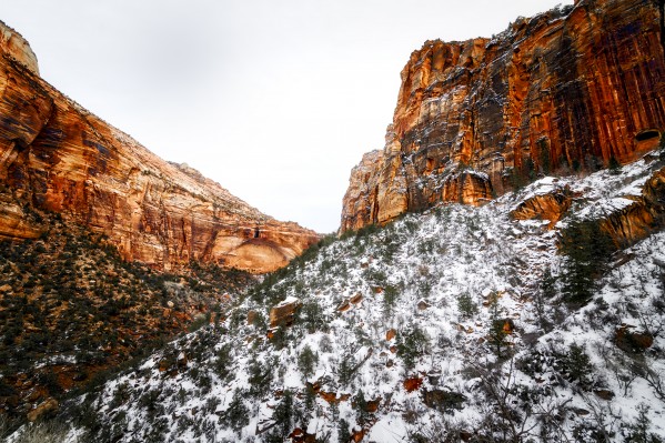 Zion National Park 1 by Luis Bonetti