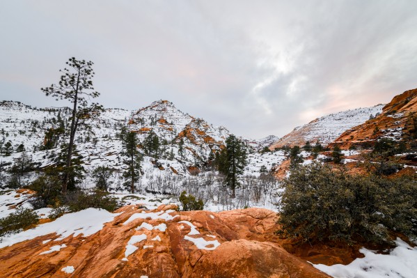 Bryce Canyon by Luis Bonetti