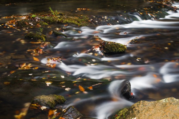River Flow in Smokey Mountains by Luis Bonetti