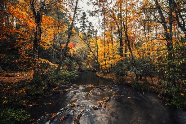 Smokey Mountain River by Luis Bonetti