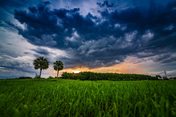 Sunset by Luis Bonetti