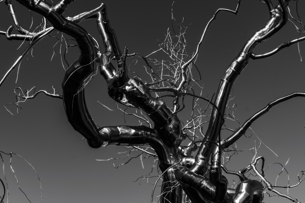 Metal tree Print
