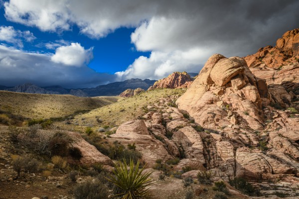 Red Rock Canyon by Luis Bonetti