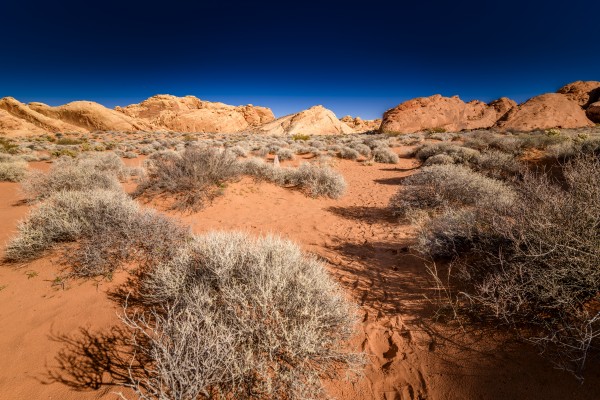 Valley Of Fire by Luis Bonetti