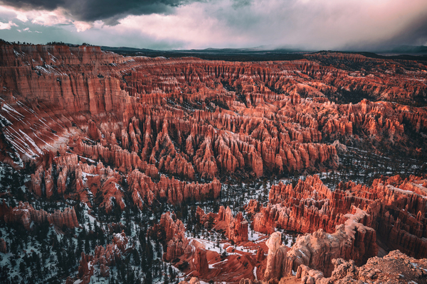 Bryce Canyon National Park. Utah  by Luis Bonetti