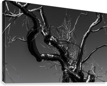 Metal tree Canvas Print