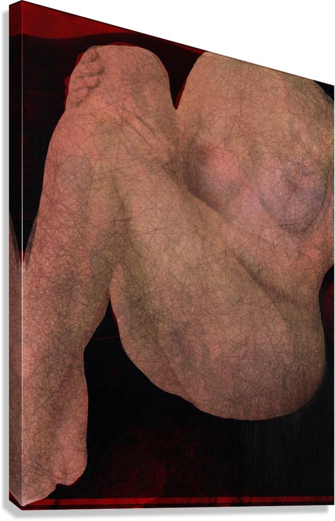 .Opus 20 Canvas Print