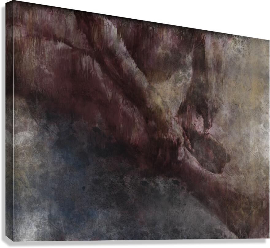 IMG 4725 Canvas Print