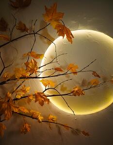 Tree In The Moon Light In Fall