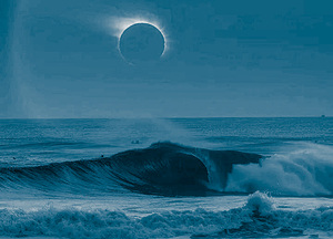 Fort Myers Eclipse 24