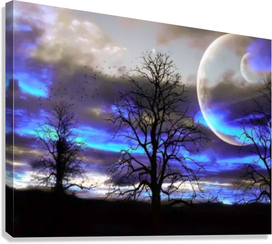 Night Moon Canvas Print