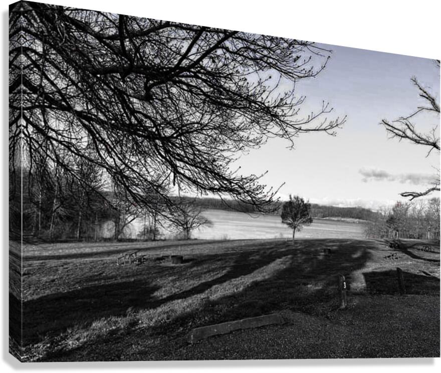 Pond Canvas Print