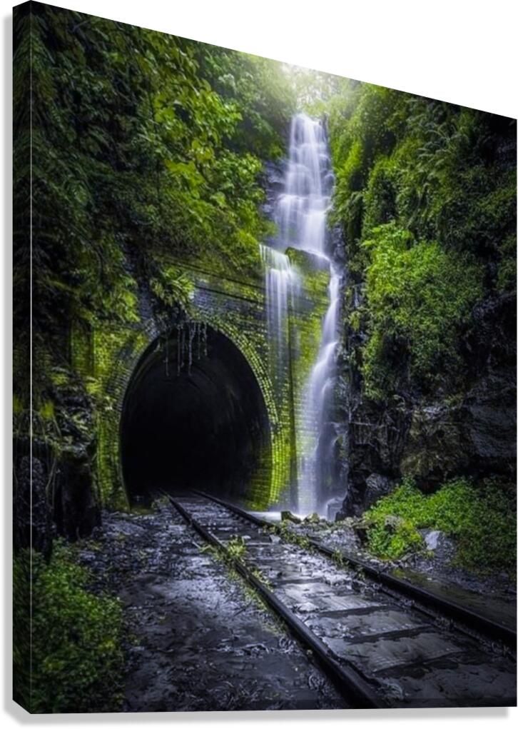 Train Tunnel Canvas Print
