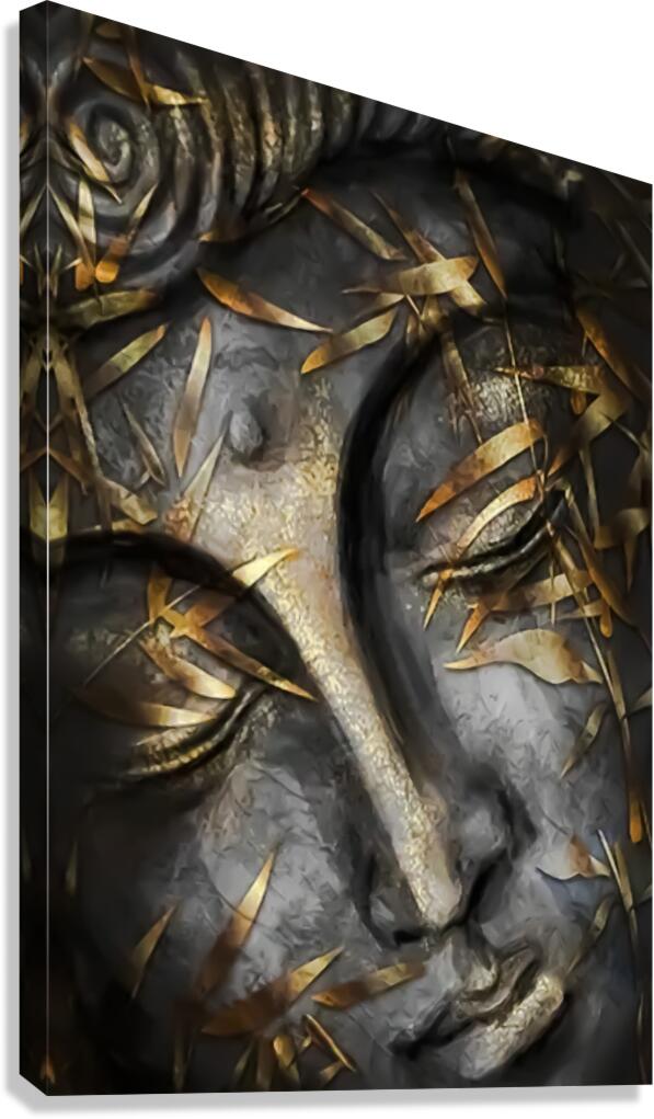 Face 1 Canvas Print