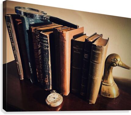 Studious Canvas Print