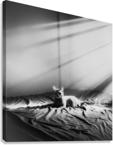 Sun Bathing Canvas Print