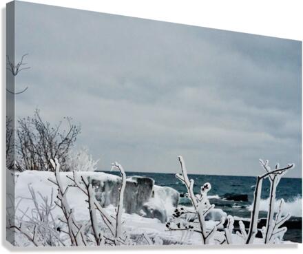Winter Waves Canvas Print