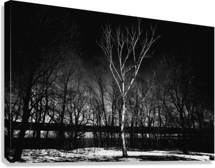 A Bleak Winter Canvas Print