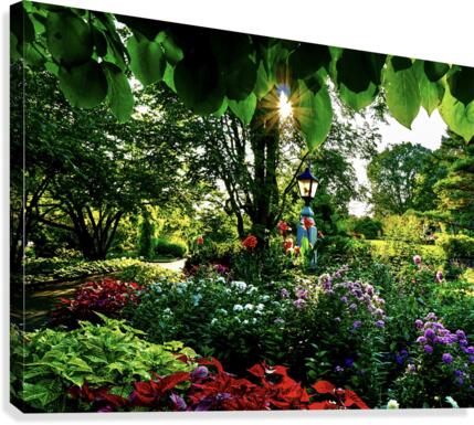 Under the Canopy  Canvas Print