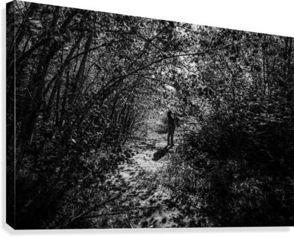 Sunlight and Shadows Canvas Print