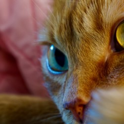 Ready For My Close Up