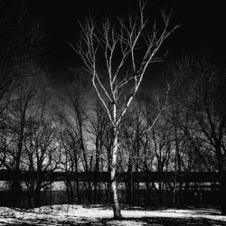 A Bleak Winter