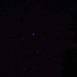 The Greater Dog Constellation 