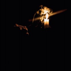 A Light in the Darkness