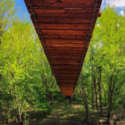 Under the Bridge