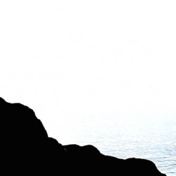 Minimalist Loon