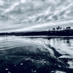 Frozen Blues