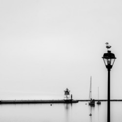 A Gray Day