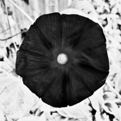 Positively Negative 