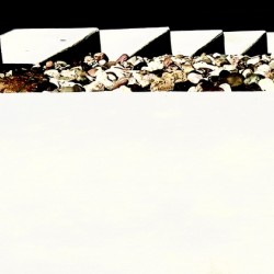 Stepping Stones