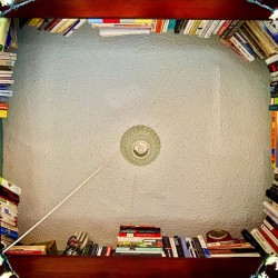 The Bookshelf
