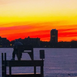 The Lifeguard 