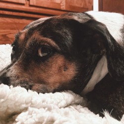 The Side Eye