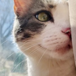 Shy Smile in the Sunshine
