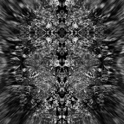 Black and White Fractals