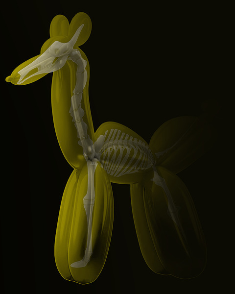 Balloon Animal  X-ray 1 by REGAL ARTWORK